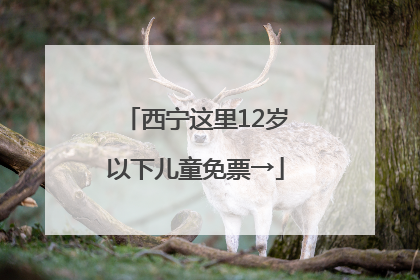 西宁这里12岁以下儿童免票→