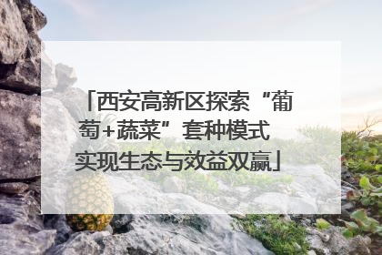 西安高新区探索“葡萄+蔬菜”套种模式 实现生态与效益双赢