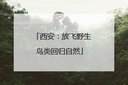 西安：放飞野生鸟类回归自然