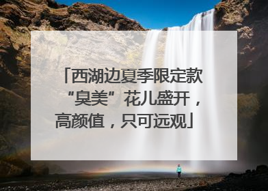 西湖边夏季限定款“臭美”花儿盛开，高颜值，只可远观