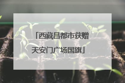 西藏昌都市获赠天安门广场国旗