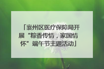 襄州区医疗保障局开展“粽香传情，家国情怀”端午节主题活动