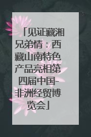 见证藏湘兄弟情：西藏山南特色产品亮相第四届中国-非洲经贸博览会