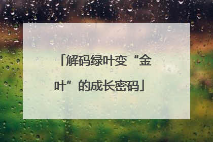解码绿叶变“金叶”的成长密码
