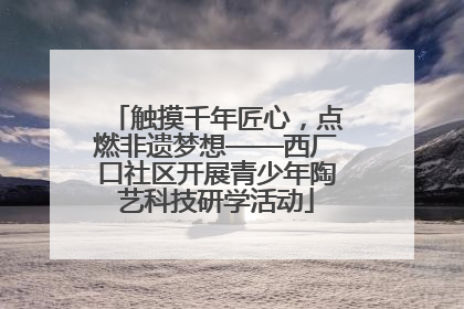 触摸千年匠心，点燃非遗梦想——西厂口社区开展青少年陶艺科技研学活动
