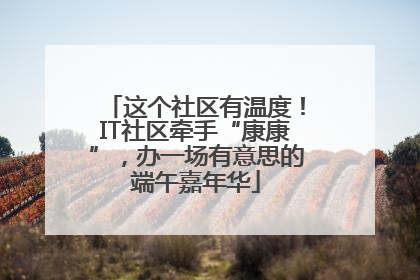 这个社区有温度！IT社区牵手“康康”，办一场有意思的端午嘉年华