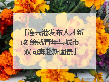 连云港发布人才新政 绘就青年与城市双向奔赴新图景