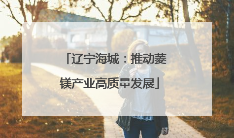 辽宁海城：推动菱镁产业高质量发展