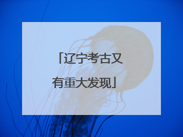 辽宁考古又有重大发现