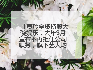 贾玲全资持股大碗娱乐，去年9月宣布不再担任公司职务，旗下艺人均不续约