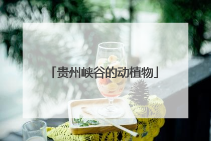 贵州峡谷的动植物