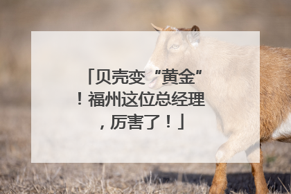 贝壳变“黄金”！福州这位总经理，厉害了！