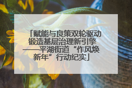 赋能与良策双轮驱动 锻造基层治理新引擎——平湖街道“作风焕新年”行动纪实