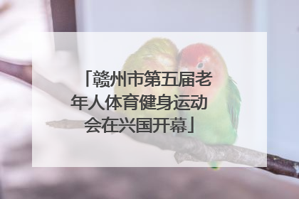 赣州市第五届老年人体育健身运动会在兴国开幕