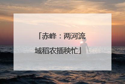赤峰：两河流域稻农插秧忙