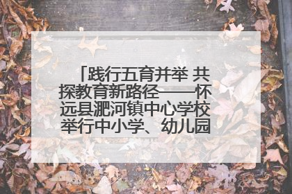 践行五育并举 共探教育新路径——怀远县淝河镇中心学校举行中小学、幼儿园班主任论坛活动