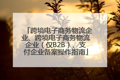 跨境电子商务物流企业、跨境电子商务物流企业（仅B2B）、支付企业备案操作指南
