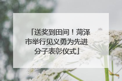 送奖到田间！菏泽市举行见义勇为先进分子表彰仪式