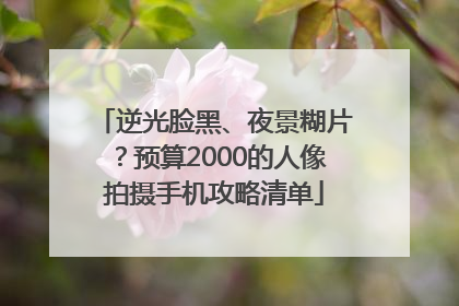 逆光脸黑、夜景糊片？预算2000的人像拍摄手机攻略清单