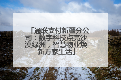 通联支付新疆分公司：数字科技点亮沙漠绿洲，智慧物业焕新万家生活