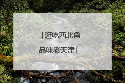 逛吃西北角 品味老天津