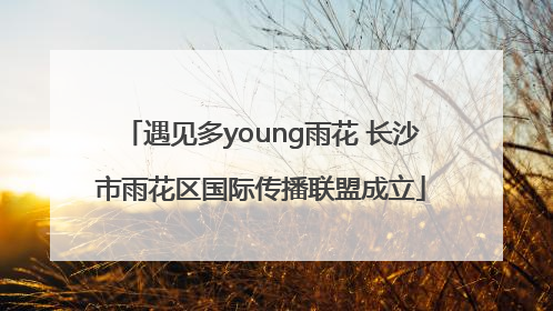 遇见多young雨花 长沙市雨花区国际传播联盟成立