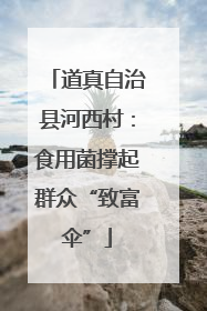 道真自治县河西村：食用菌撑起群众“致富伞”