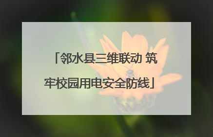 邻水县三维联动 筑牢校园用电安全防线