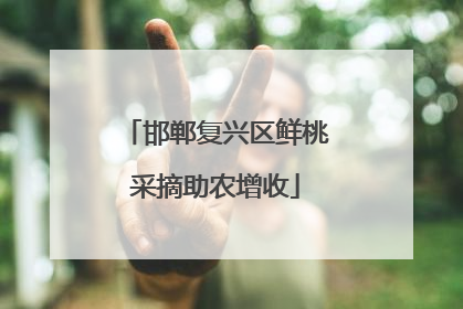 邯郸复兴区鲜桃采摘助农增收