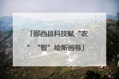 郧西县科技赋“农”“智”绘新画卷