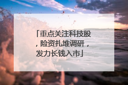 重点关注科技股，险资扎堆调研，发力长钱入市