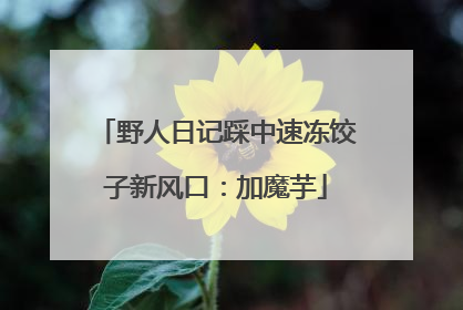 野人日记踩中速冻饺子新风口：加魔芋