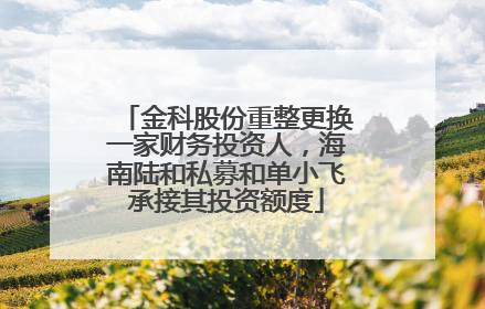 金科股份重整更换一家财务投资人，海南陆和私募和单小飞承接其投资额度