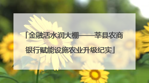 金融活水润大棚——莘县农商银行赋能设施农业升级纪实