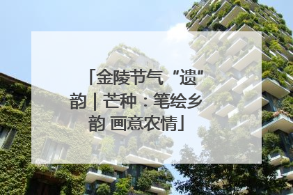 金陵节气“遗”韵｜芒种：笔绘乡韵 画意农情