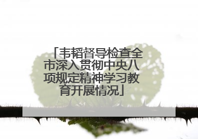 韦韬督导检查全市深入贯彻中央八项规定精神学习教育开展情况