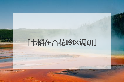 韦韬在杏花岭区调研