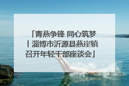 青燕争锋 同心筑梦丨淄博市沂源县燕崖镇召开年轻干部座谈会