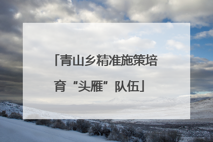 青山乡精准施策培育“头雁”队伍