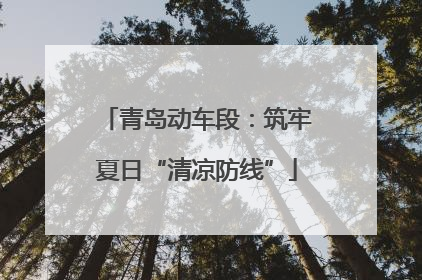 青岛动车段：筑牢夏日“清凉防线”