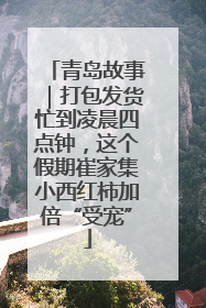 青岛故事｜打包发货忙到凌晨四点钟，这个假期崔家集小西红柿加倍“受宠”