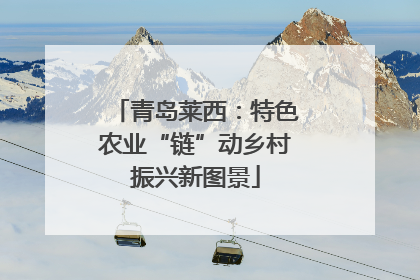 青岛莱西：特色农业“链”动乡村振兴新图景