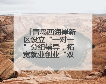 青岛西海岸新区设立“一对一”分组辅导，拓宽就业创业“双路径”