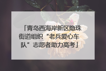 青岛西海岸新区隐珠街道组织“老兵爱心车队”志愿者助力高考