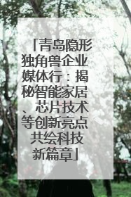 青岛隐形独角兽企业媒体行：揭秘智能家居、芯片技术等创新亮点 共绘科技新篇章