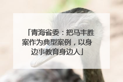 青海省委：把马丰胜案作为典型案例，以身边事教育身边人