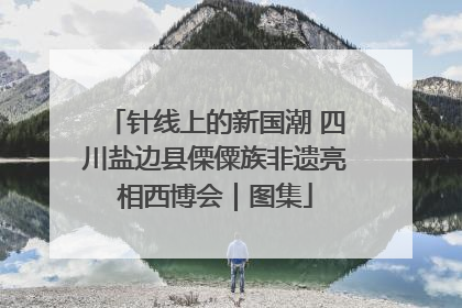 针线上的新国潮 四川盐边县傈僳族非遗亮相西博会｜图集