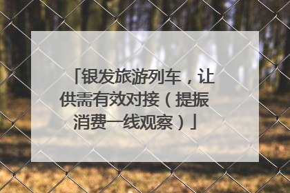 银发旅游列车，让供需有效对接（提振消费一线观察）