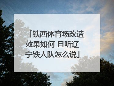 铁西体育场改造效果如何 且听辽宁铁人队怎么说