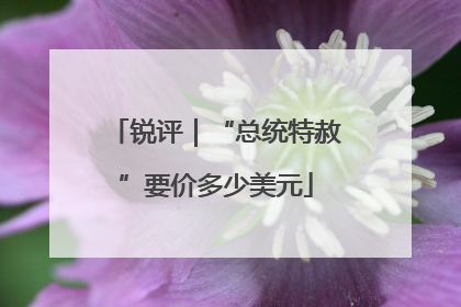 锐评｜“总统特赦”要价多少美元